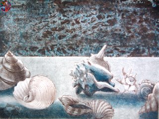 026B - Storia di Vecchie Conchiglie  (Story of the Shells ) - cm. 50x70 - Litografia (Lithography)